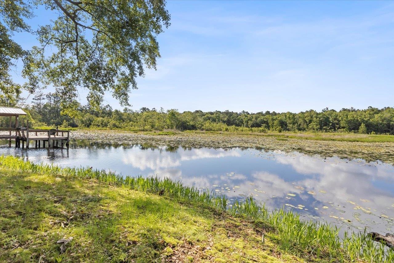 X Gould Road Quincy, FL 32351 - Photo 36 of 42