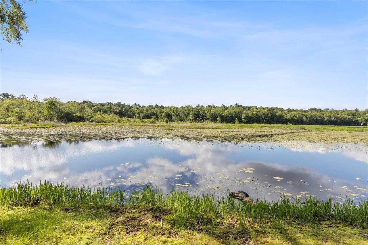 X Gould Road Quincy, FL 32351 - Photo 41 of 42