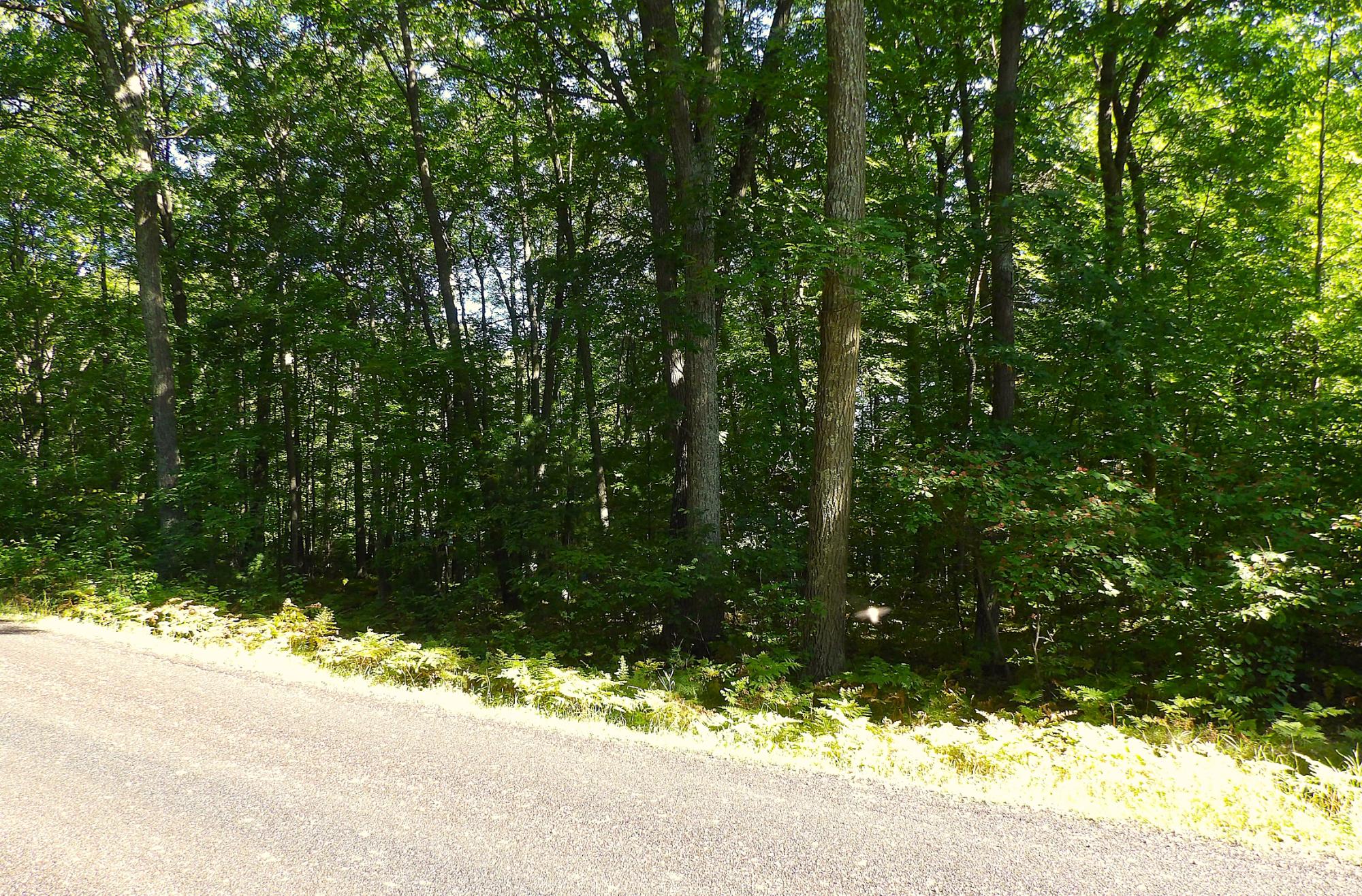 On Long Lake Road Rhinelander, WI 54501 - Photo 15 of 16 Gallery Image 15
