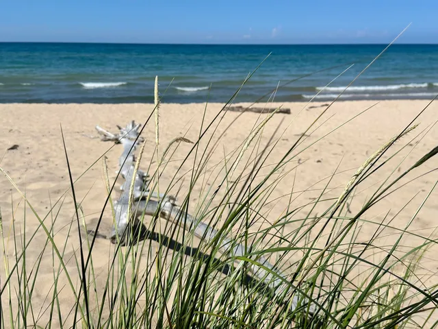 $225,000 | 0 Twin Oaks Road, Bridgman, MI 49106