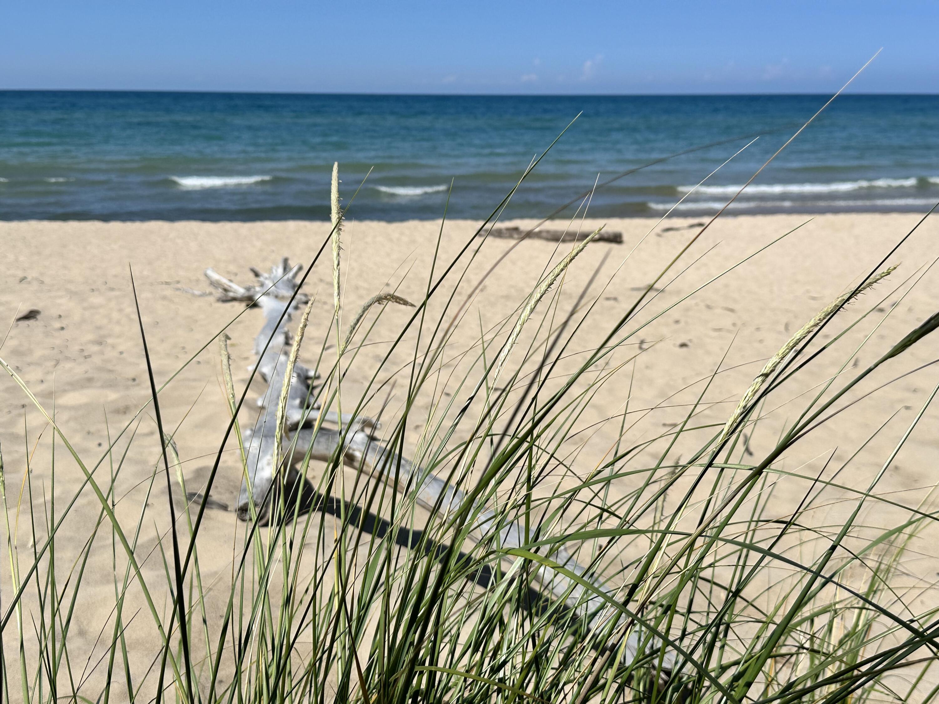 0 Twin Oaks Road Bridgman, MI 49106 - Photo 11 of 18 Beach North