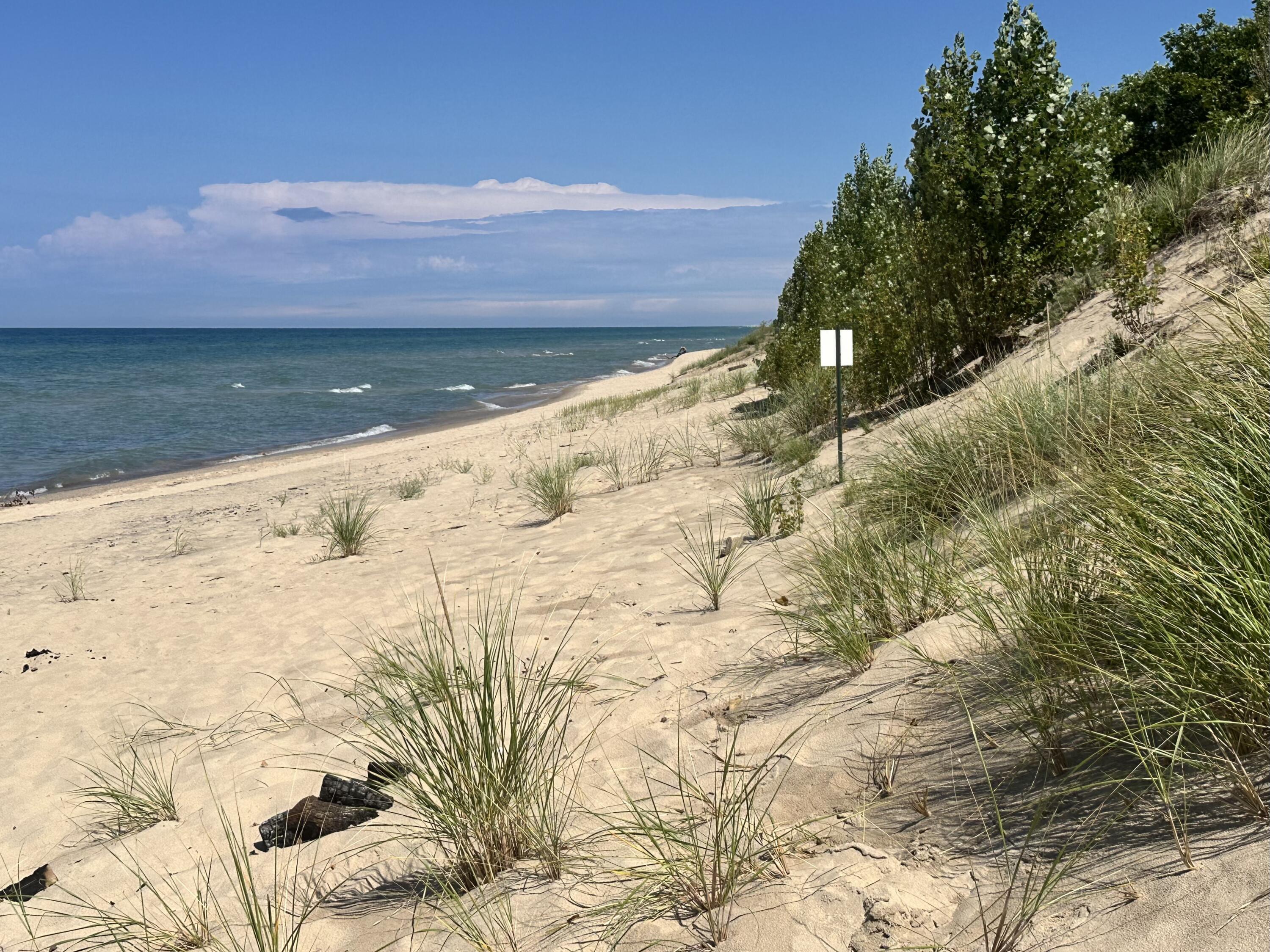 0 Twin Oaks Road Bridgman, MI 49106 - Photo 12 of 18 North Beach