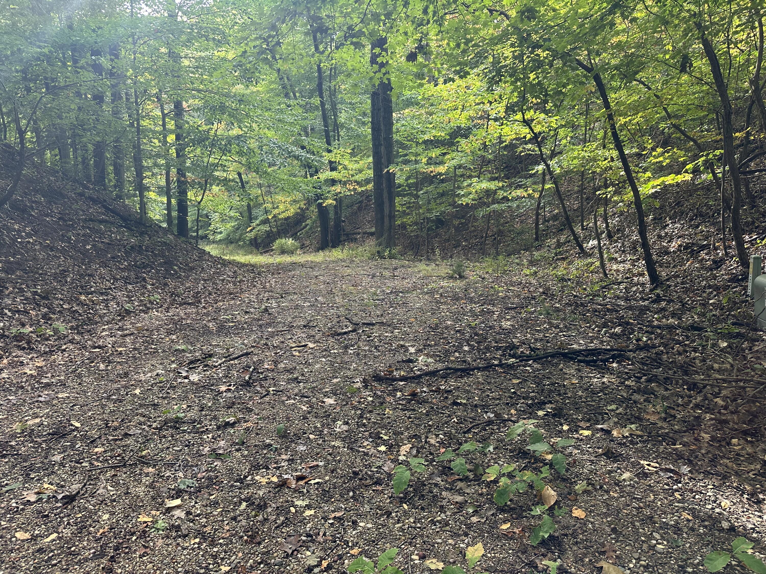 0 Twin Oaks Road Bridgman, MI 49106 - Photo 15 of 18 Twin