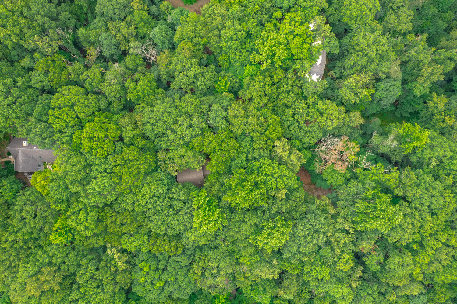 0 Twin Oaks Road Bridgman, MI 49106 - Photo 5 of 18 WM9410hillcrest-32