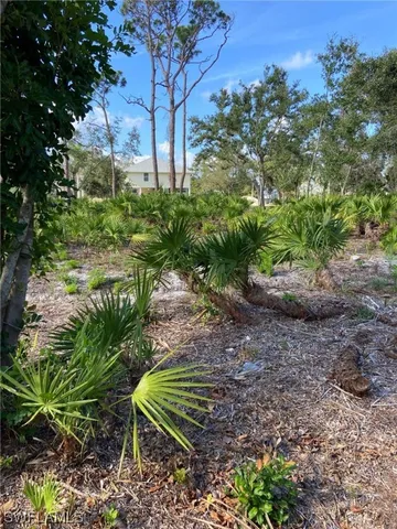 a plant that is in a garden