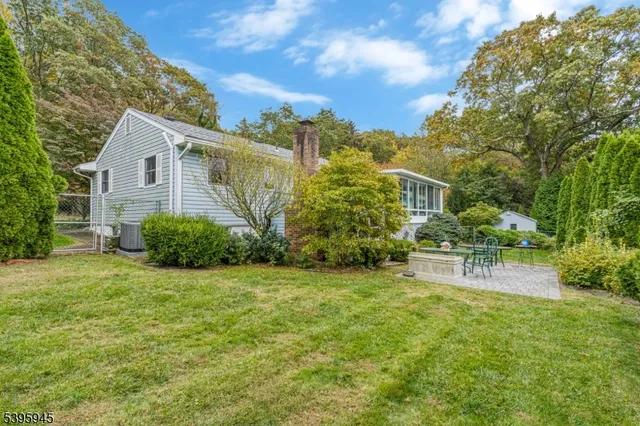 a view of a backyard with plants and large trees