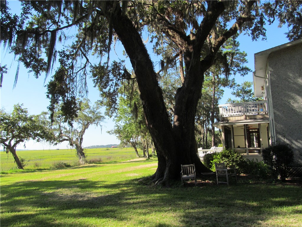 1165 Durant Drive Southeast Townsend, GA 31331 - Photo 3 of 33 Home marsh side 1