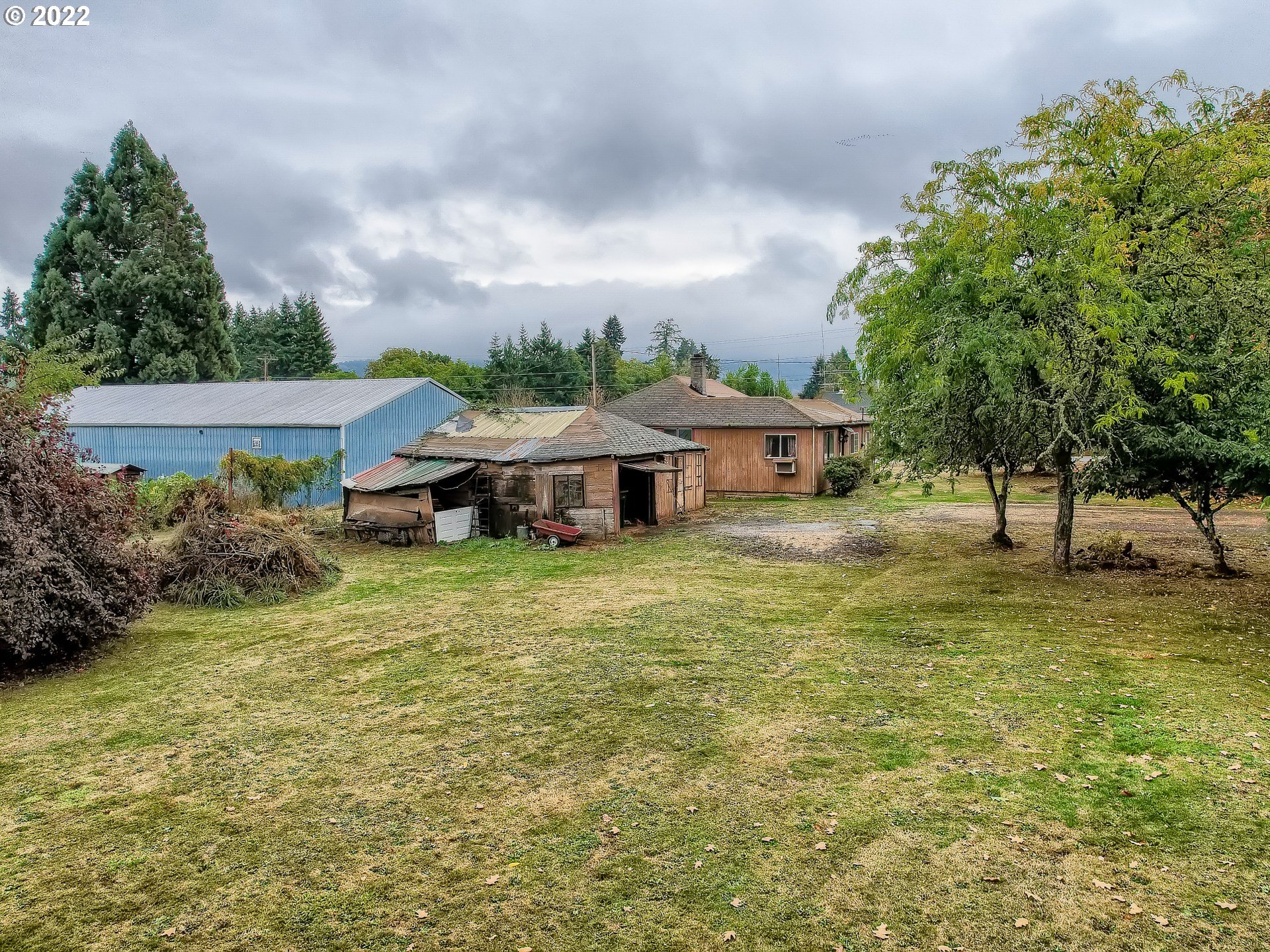 3982 Southwest Stephens Street Forest Grove, OR 97116 - Photo 4 of 16 a front view of a house with a yard