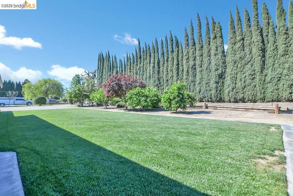 4190 Brown Road Oakley, CA 94561 - Photo 26 of 33 View of green lawn
