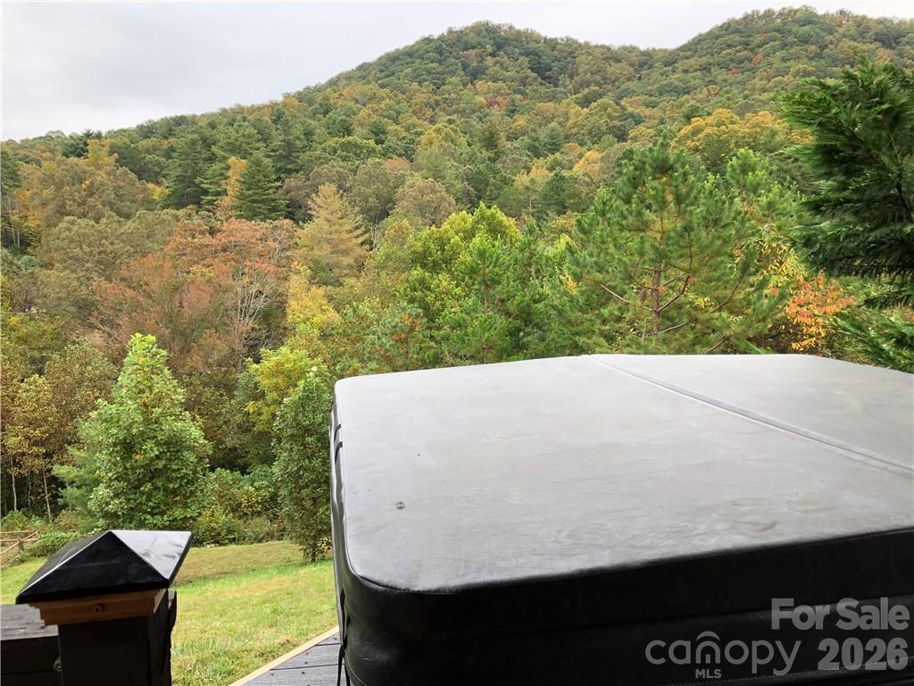 836 Burney Mountain Road Fletcher, NC 28732 - Photo 13 of 37