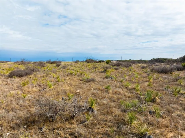 $165,000 | 100 Fm 503, Coleman, TX 76834