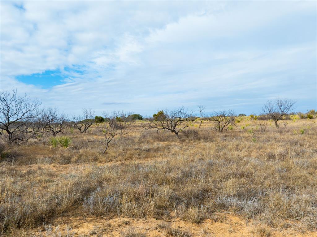 100 Fm 503 Coleman, TX 76834 - Photo 7 of 10