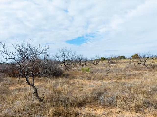 $165,000 | 100 Fm 503, Coleman, TX 76834