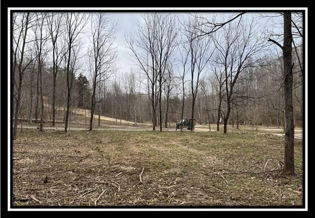 35471 Buck Run Road Langsville, OH 45741 - Photo 13 of 32