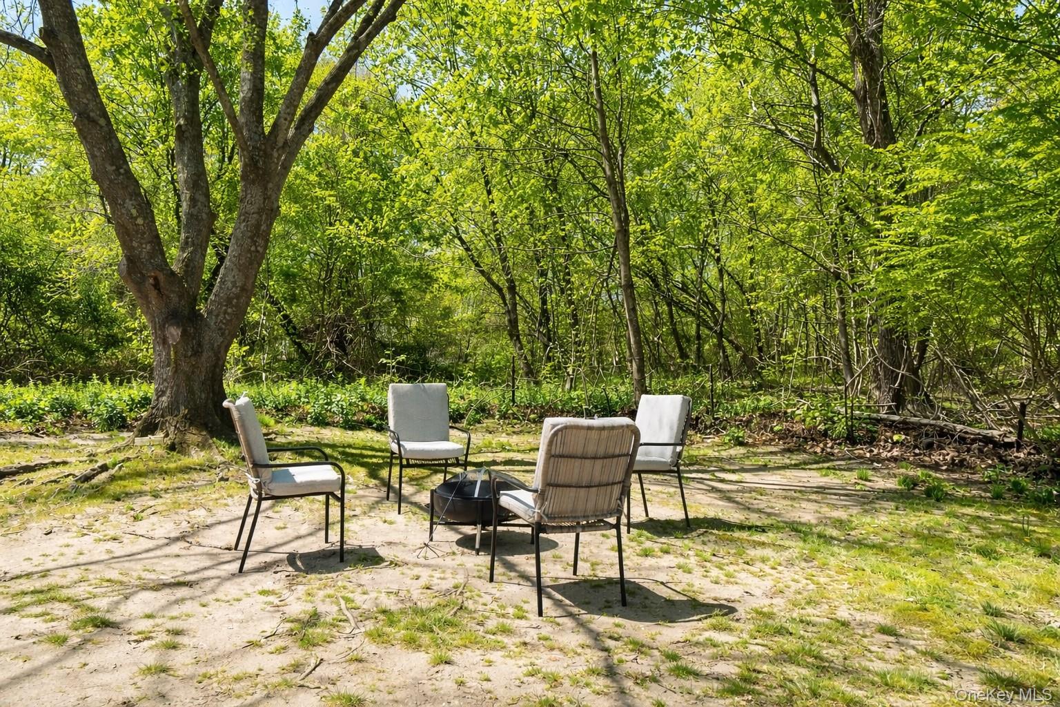 1550 Main Road Riverhead, NY 11901 - Photo 22 of 28 Natural outdoor setting featuring a mature tree, surrounding foliage, and a cleared area