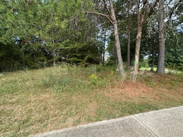 101 Cottage Lane Toccoa, GA 30577 - Photo 20 of 23