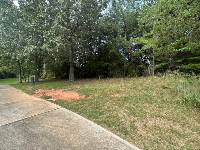 101 Cottage Lane Toccoa, GA 30577 - Photo 21 of 23