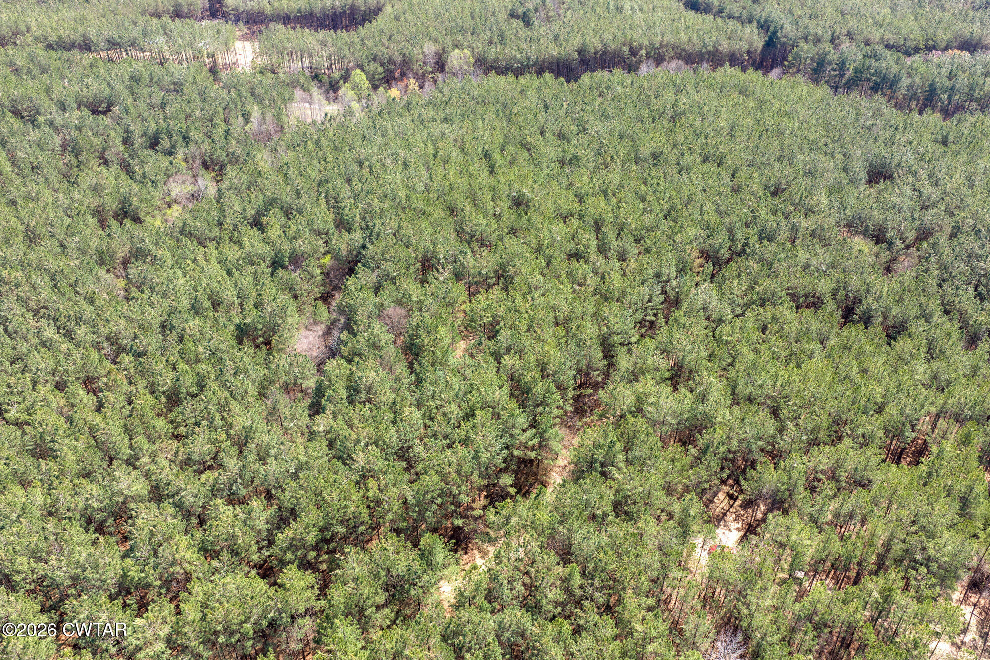 1059 Pollock Road Huron, TN 38345 - Photo 13 of 20 DJI_20260323144421_0937_D