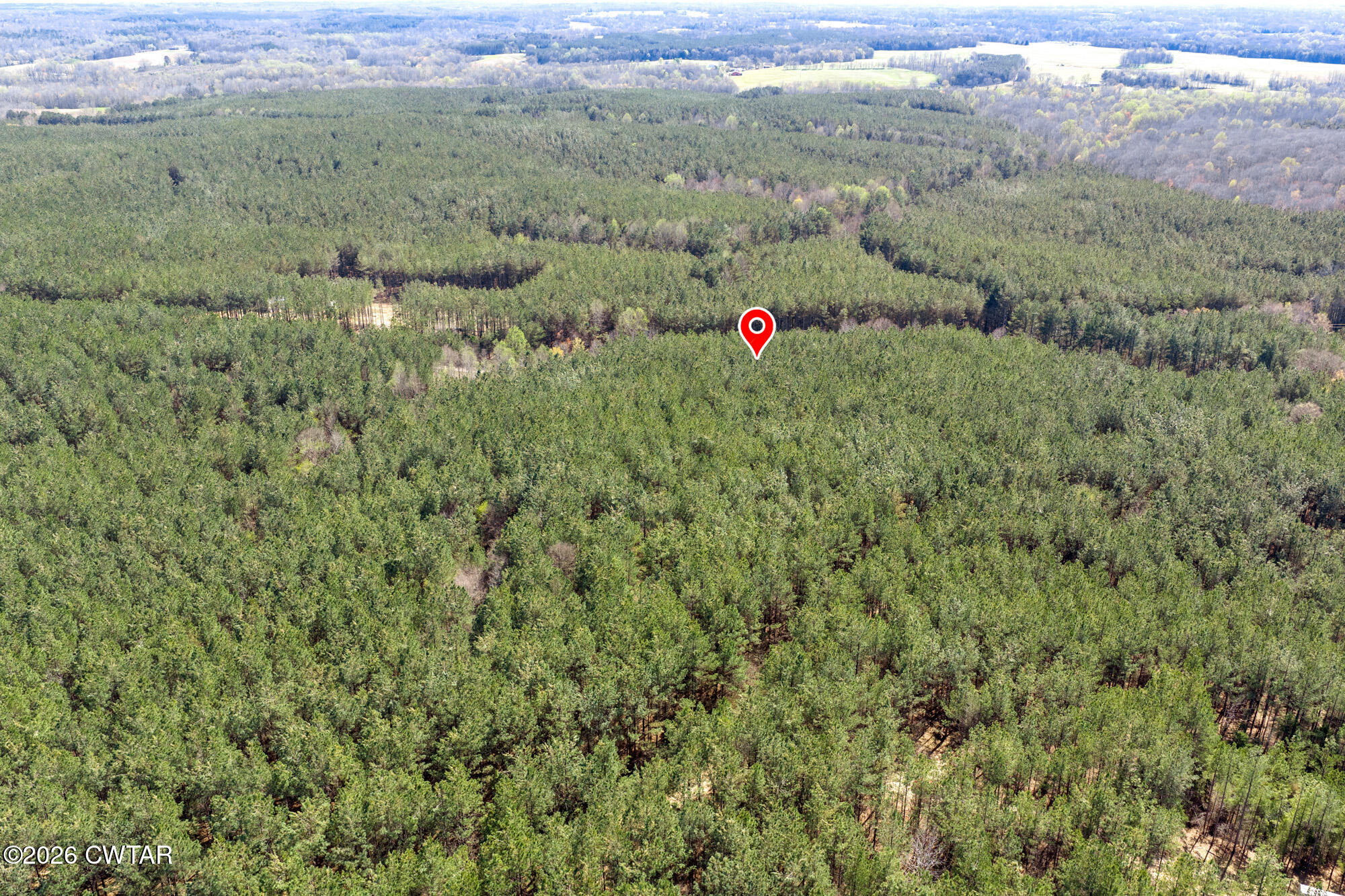 1070 Pollock Road Lexington, TN 38351 - Photo 13 of 20 DJI_20260323144433_0938_D-Edit