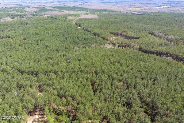 a view of a lush green forest with trees and some houses