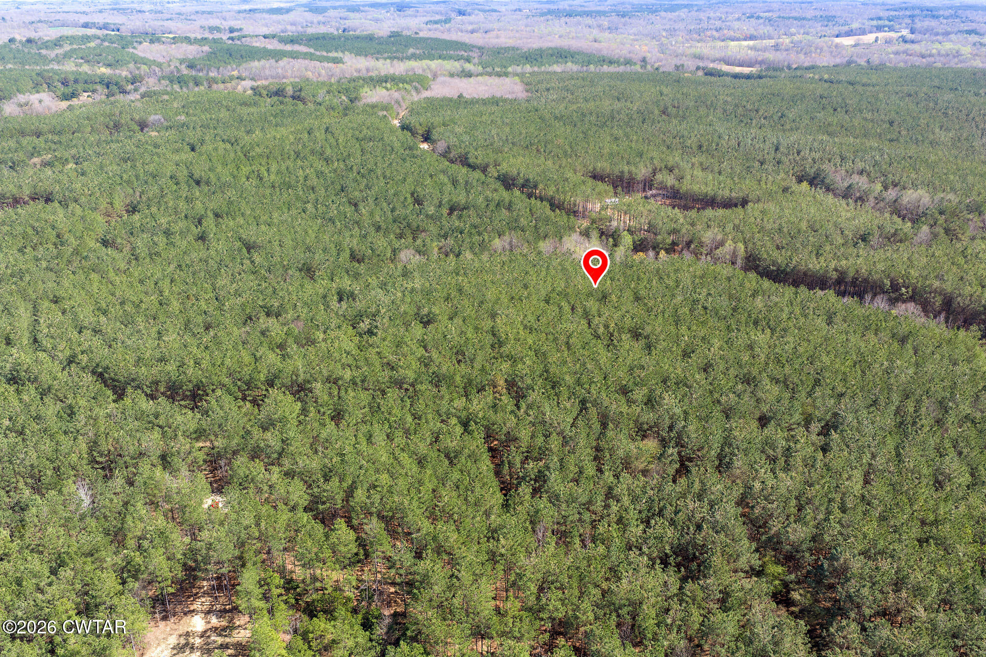 1059 Pollock Road Huron, TN 38345 - Photo 15 of 20 DJI_20260323144324_0936_D-Edit