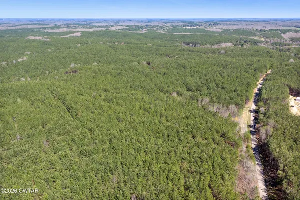 a view of city with lush green forest