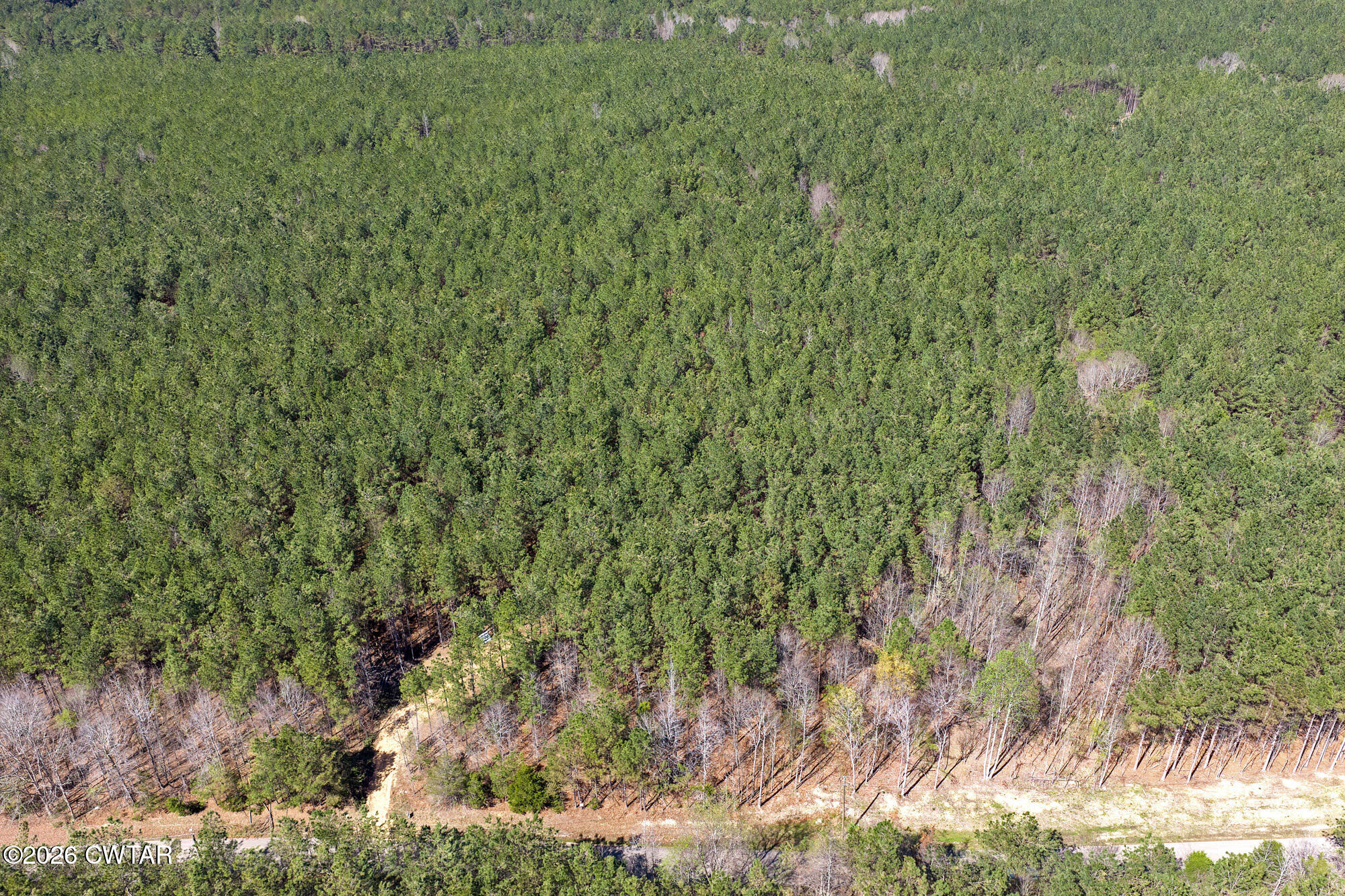 1059 Pollock Road Huron, TN 38345 - Photo 20 of 20 DJI_20260323144202_0933_D