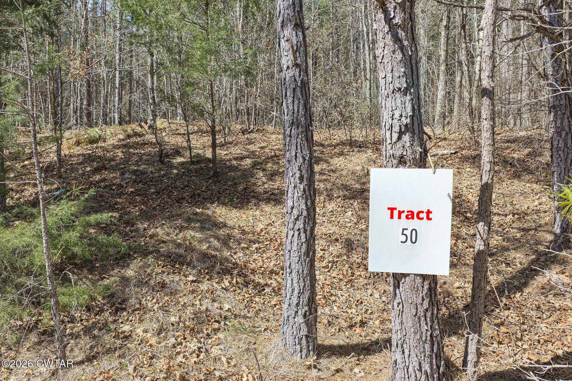 1059 Pollock Road Huron, TN 38345 - Photo 6 of 20 DJI_20260323144639_0942_D