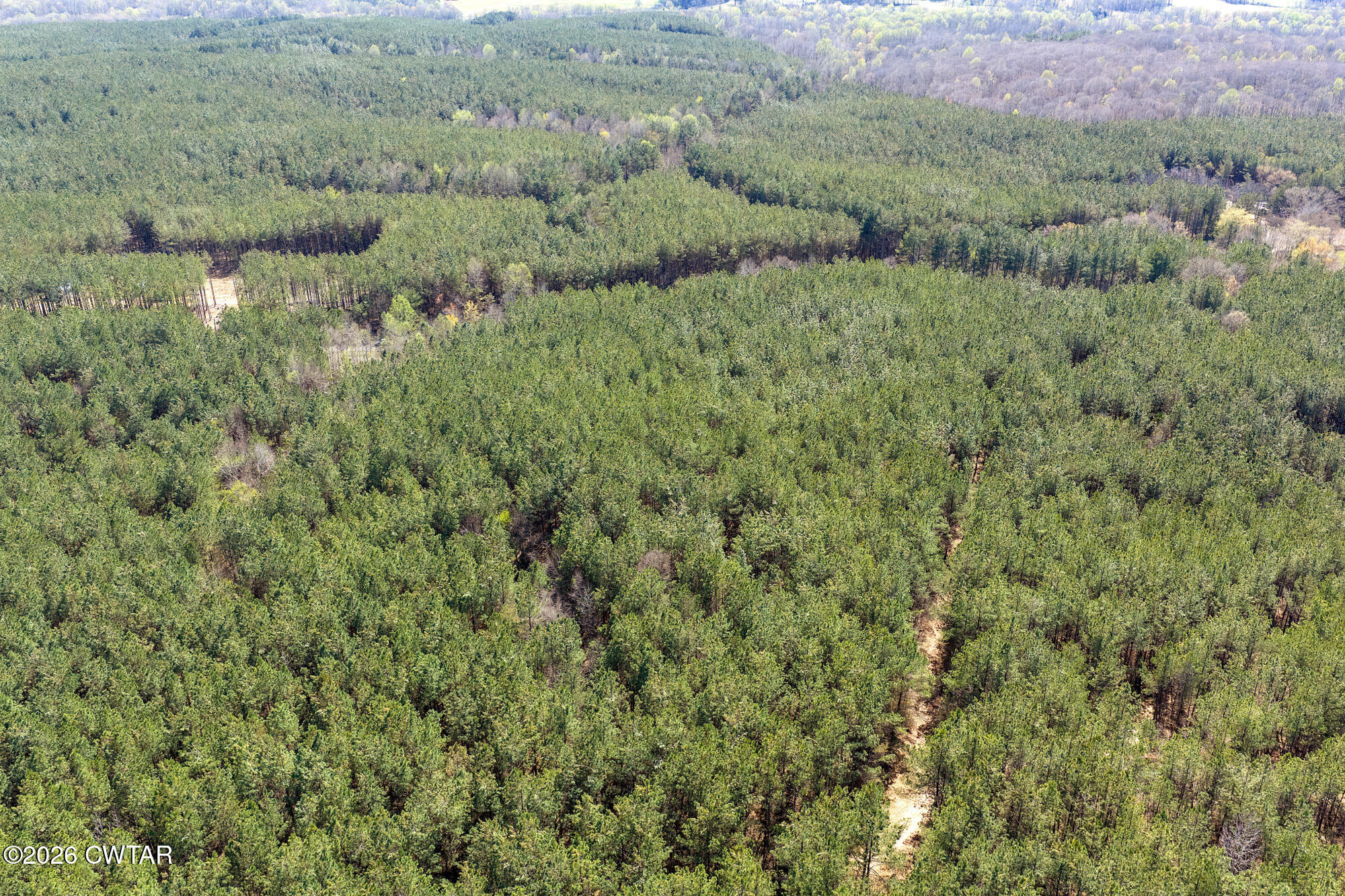 1059 Pollock Road Huron, TN 38345 - Photo 10 of 20 DJI_20260323144445_0939_D