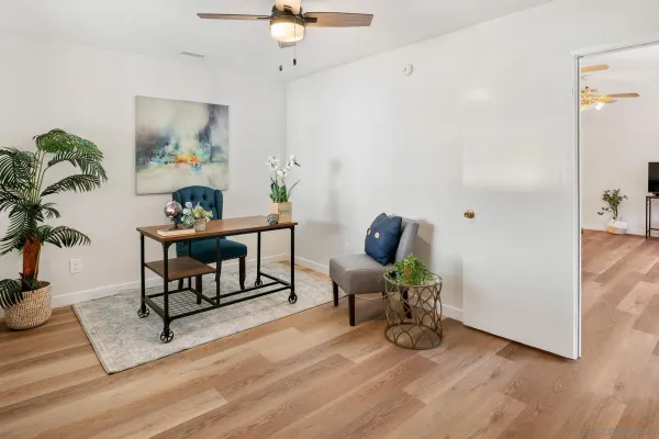a living room with furniture and a potted plant