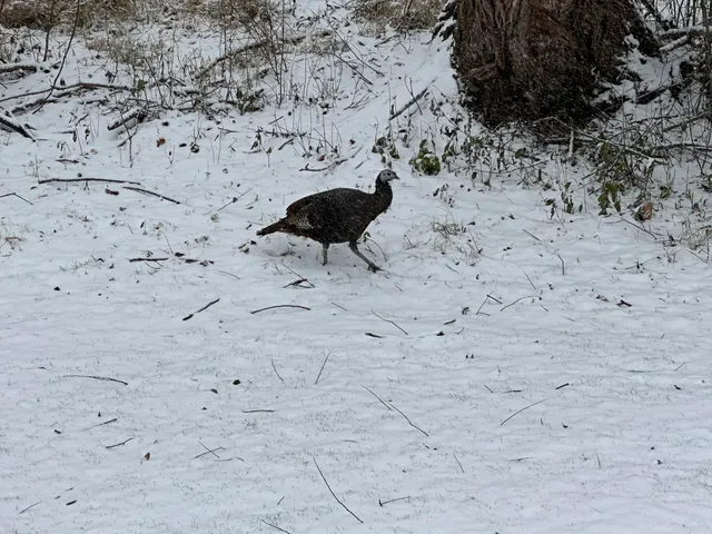 $299,900 | 636 Pewaukee Road, Unit H, Pewaukee, WI 53072