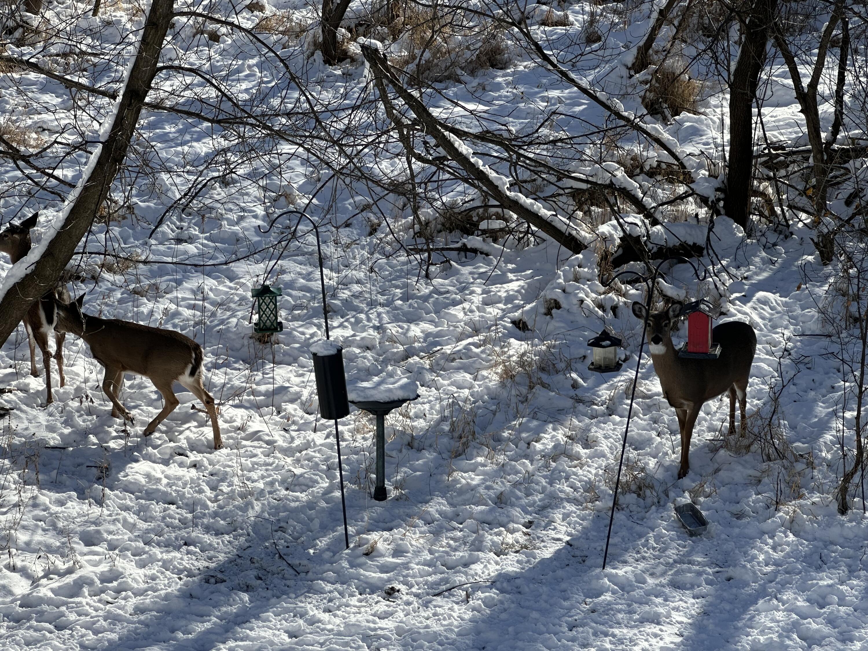 636 Pewaukee Road, Unit H Pewaukee, WI 53072 - Photo 27 of 43 "If you truly love nature..."