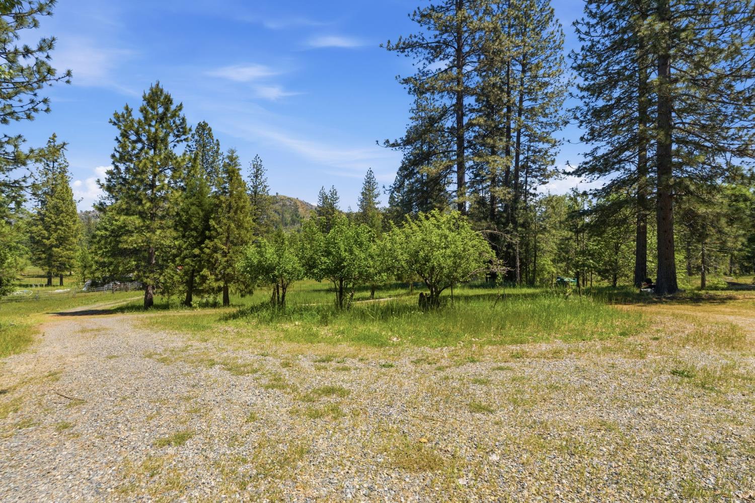 7019 Scott Road Mariposa, CA 95338 - Photo 58 of 77