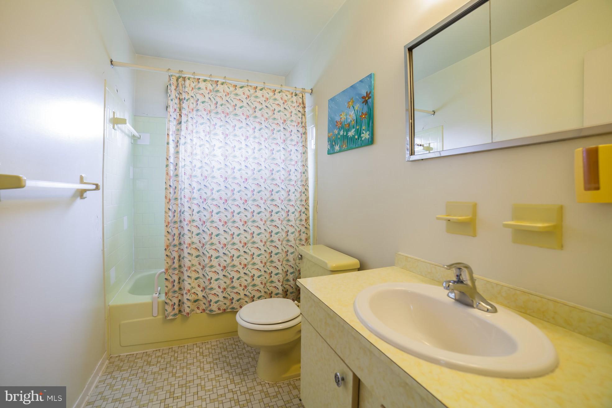 3903 Carthage Road Randallstown, MD 21133 - Photo 21 of 24 a bathroom with a sink a toilet and shower