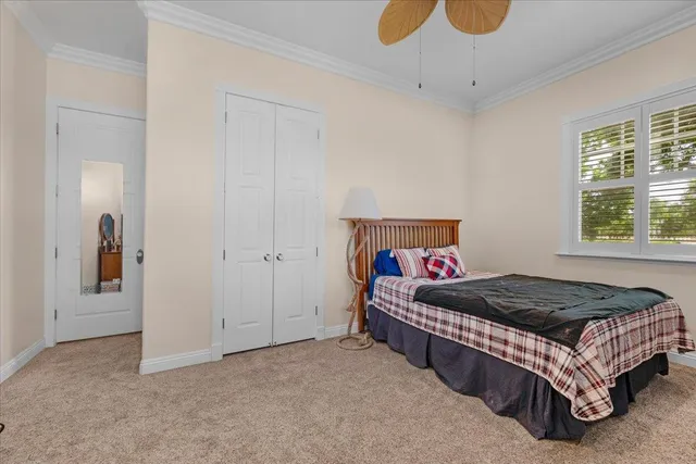 a view of a patio with table and chairs potted plants and large tree