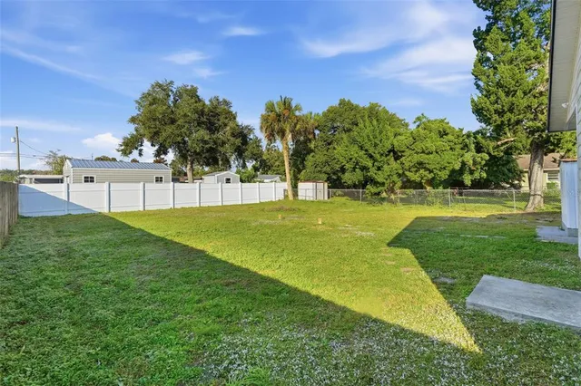 a view of a park with large trees