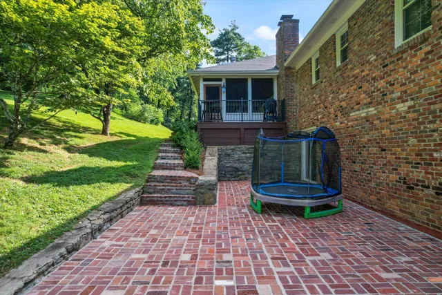 a view of a backyard with a garden and plants