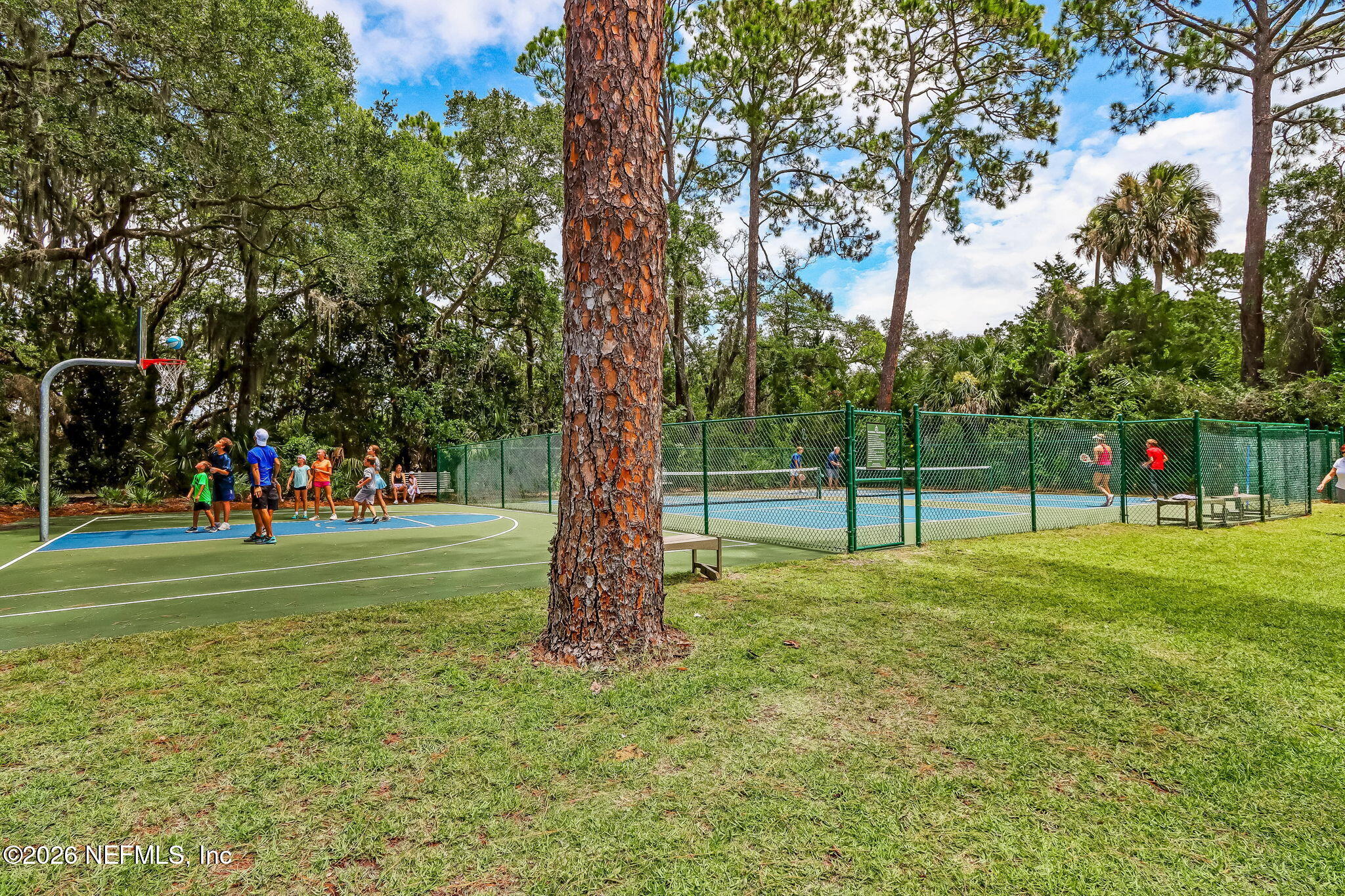 404 Beachside Place Fernandina Beach, FL 32034 - Photo 74 of 96 a view of a park with a tree