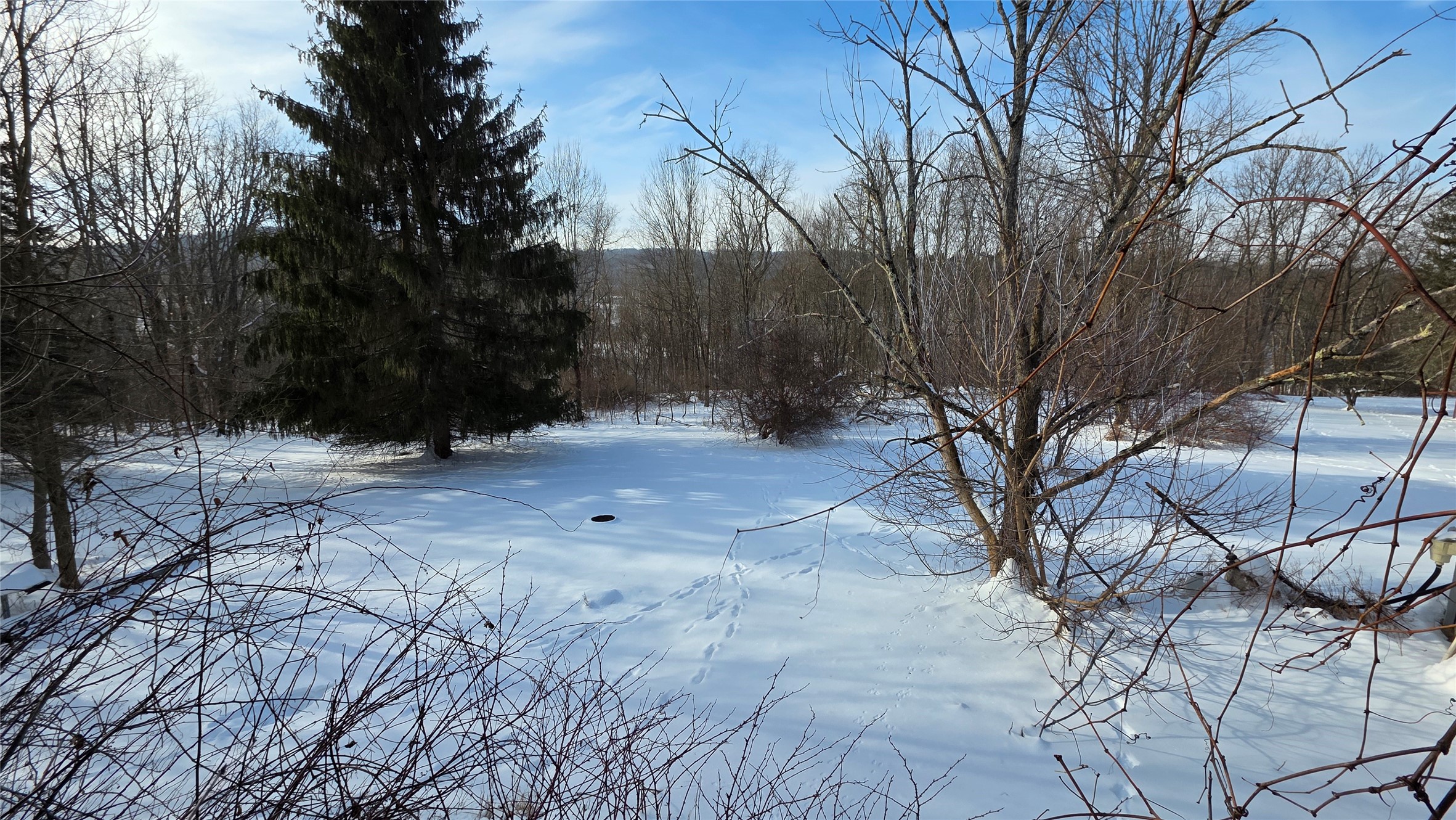 46 Pleasant Hill Road Port Crane, NY 13833 - Photo 11 of 11