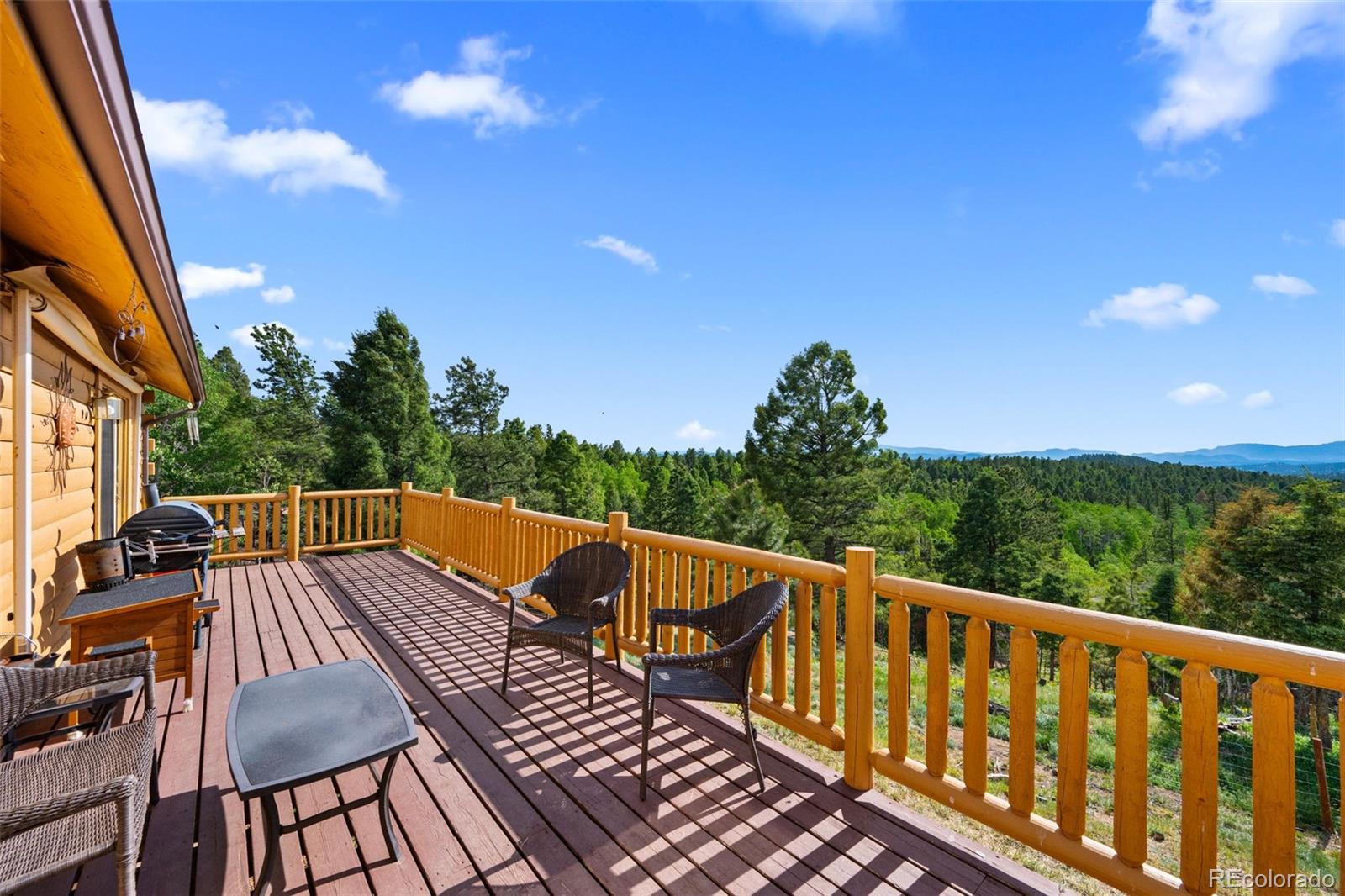 4269 Cedar Mountain Road Divide, CO 80814 - Photo 20 of 37