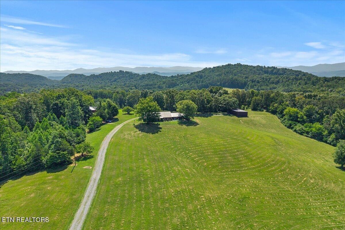 910 Reagan Valley Road Tellico Plains, TN 37385 - Photo 9 of 58 Gallery Image 9