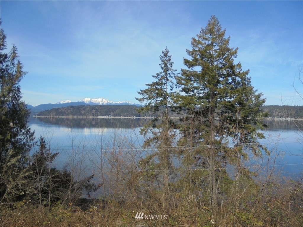 223 Orre Nobles Road Union, WA 98592 - Photo 36 of 38 Gallery Image 36