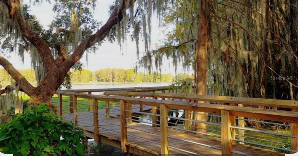4381 East Ravenna Street Inverness, FL 34453 - Photo 42 of 44 a view of a tall building with a tree