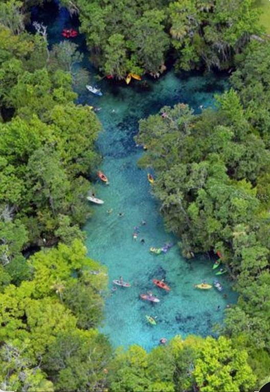 4381 East Ravenna Street Inverness, FL 34453 - Photo 44 of 44 a view of a garden with a tree