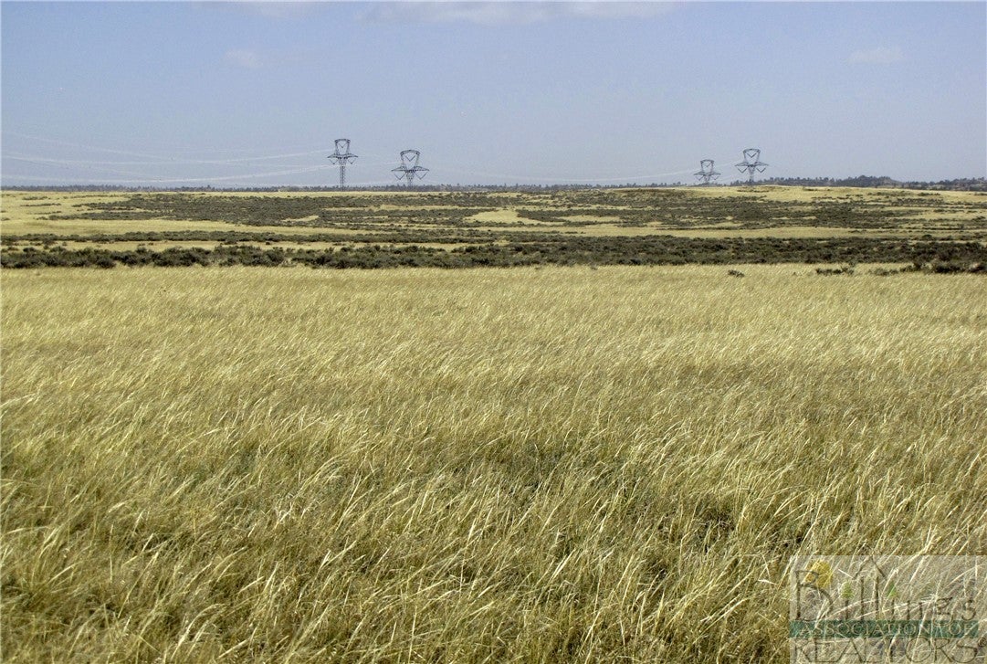 Nhn Lindstrom Road Shepherd, MT 59079 - Photo 28 of 36 Gallery Image 28