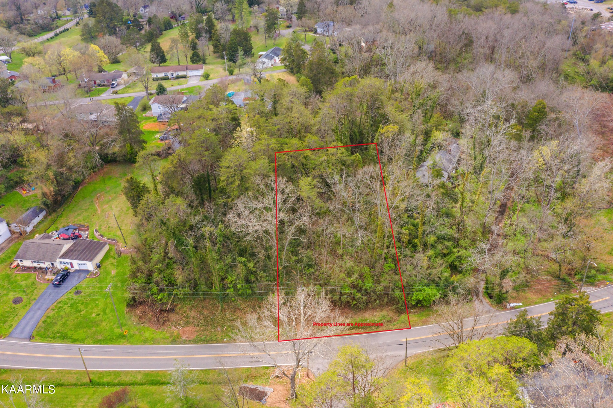 a view of a yard with an outdoor space