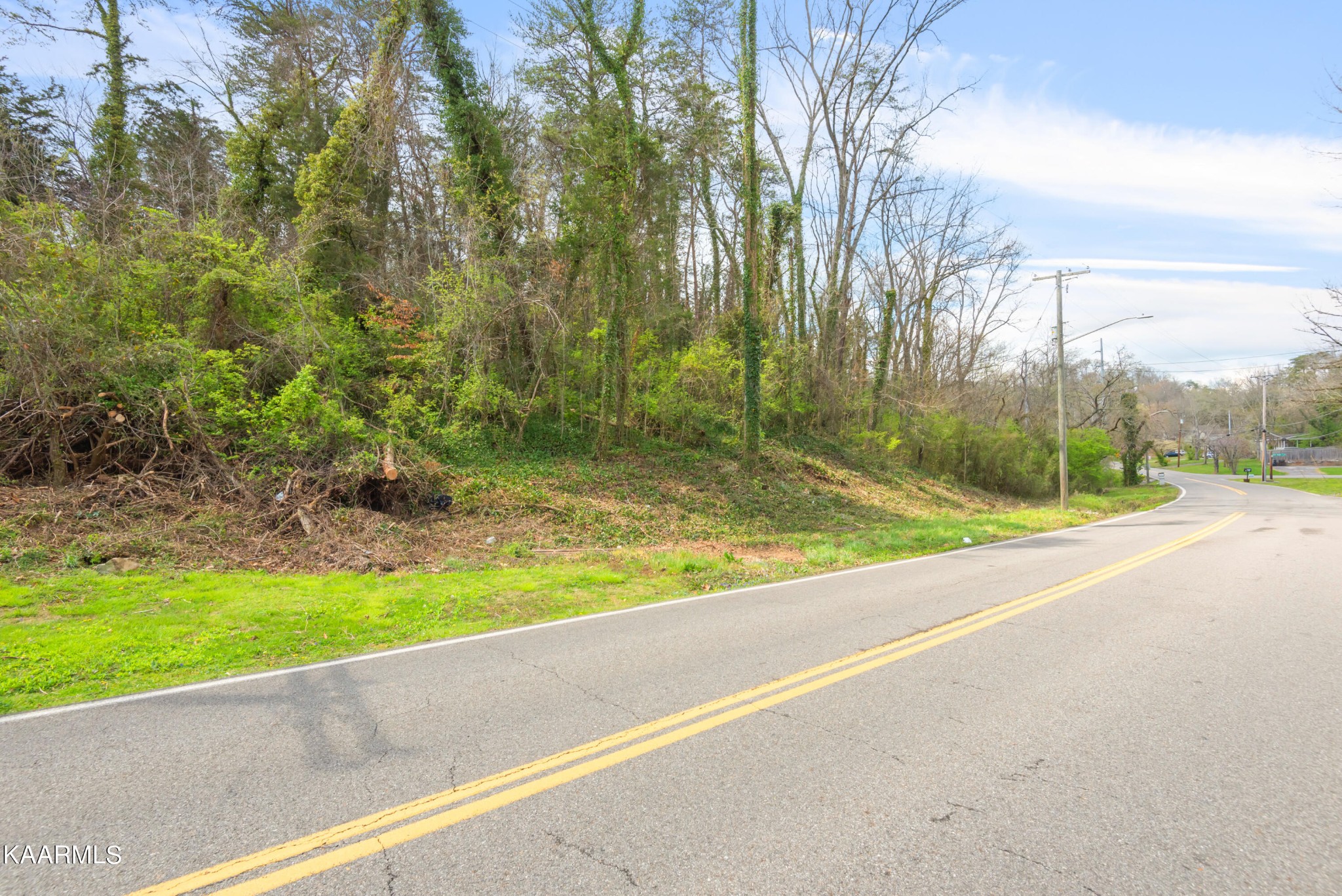 303 Stone Road Knoxville, TN 37920 - Photo 12 of 13 a view of a garden with a bench