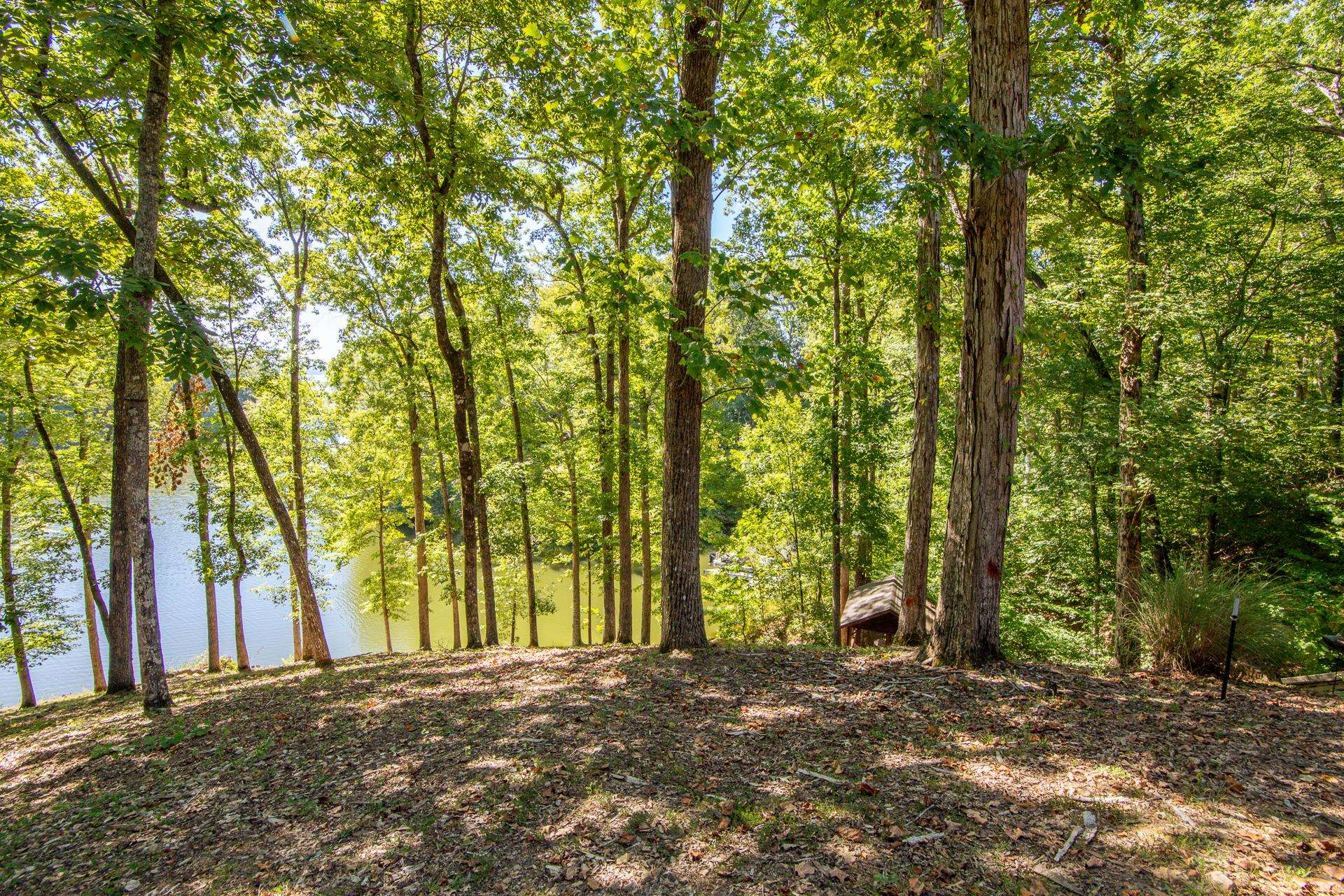 120 Pier Point Savannah, TN 38372 - Photo 2 of 38 View of nature with a large body of water