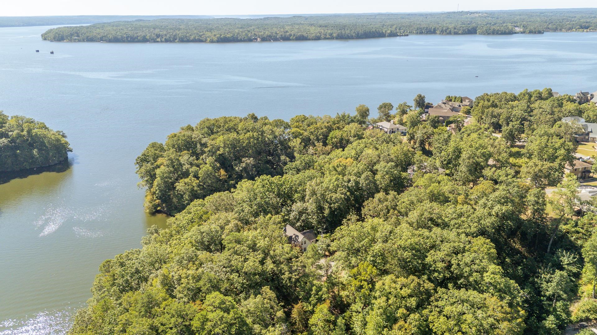 120 Pier Point Savannah, TN 38372 - Photo 32 of 38 Aerial view of a forest and a large body of water