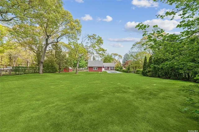 a view of garden with trees